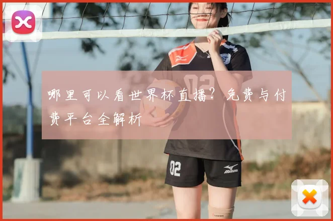 哪里可以看世界杯直播?免费与付费平台全解析