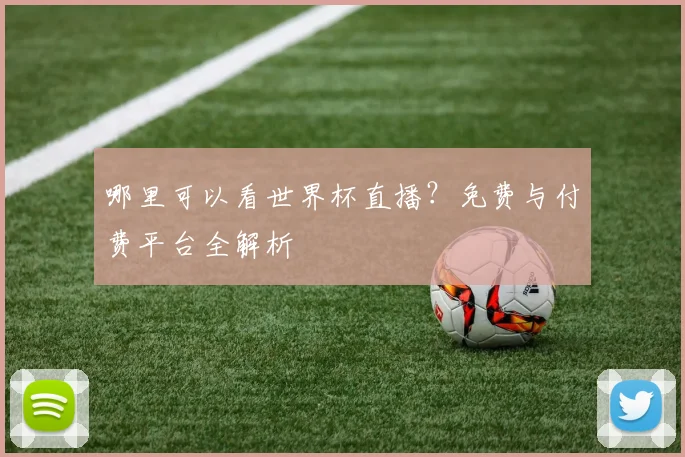 哪里可以看世界杯直播?免费与付费平台全解析