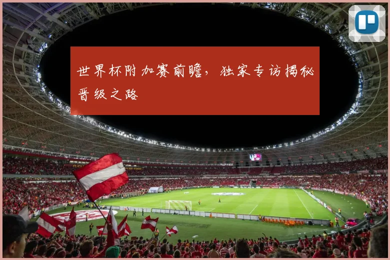 世界杯附加赛前瞻,独家专访揭秘晋级之路
